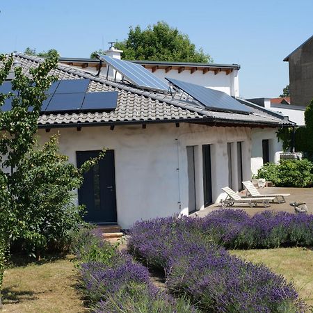 Apartament Strohlehm'Zhaus Weiden am See Zewnętrze zdjęcie